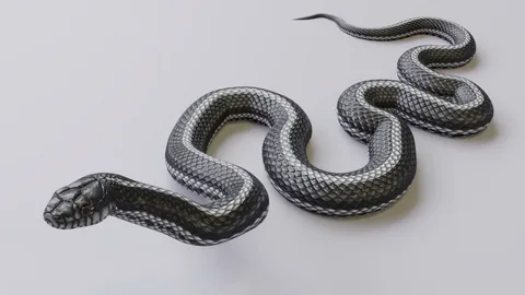 bowtie snake